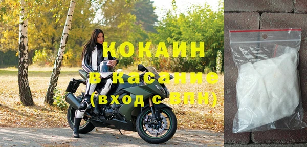 стаф Магас