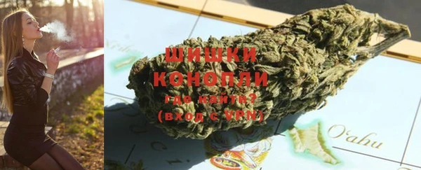 стаф Магас